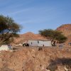 Beduinencamp, Wadi Dana Trail